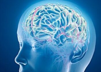 genjeshtra quick albania