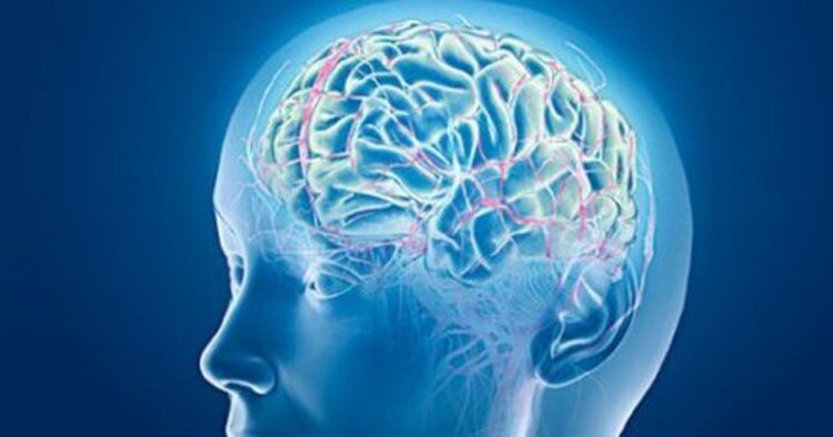 genjeshtra quick albania