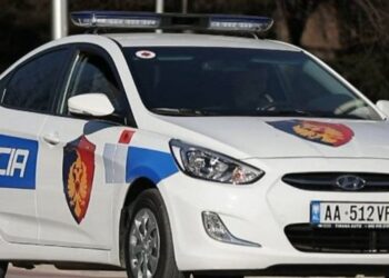 dhune nga partneri quick albania