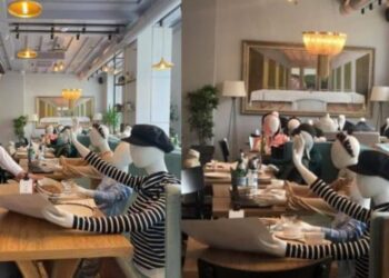 restorant ne kosove ka terhequr vemendjen quick albania