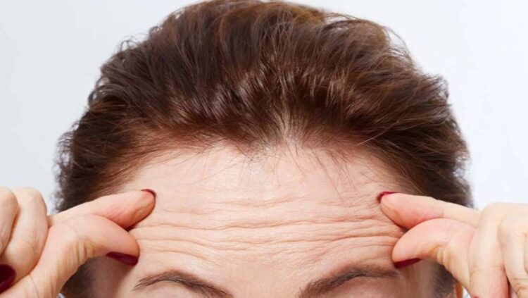 rrudhat e ballit quick albania