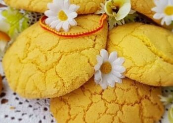 ballokume elbasani quick albania