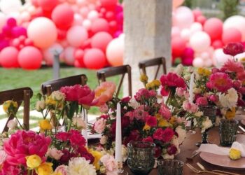 feste ne karantine quick albania