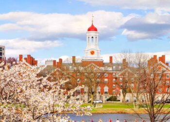 harvard gjuha shqipe quick albania