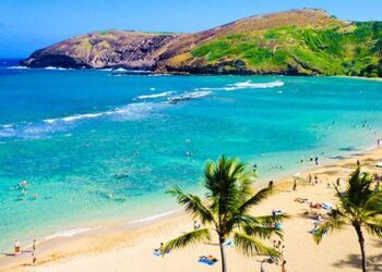 hawaii bileta quick albania