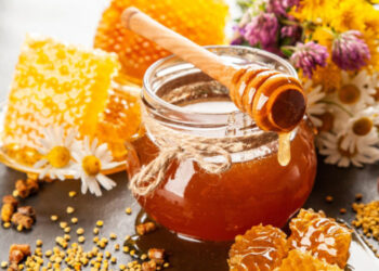 mjalti dhe vetite e tij quick albania