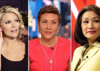 moderatoret me te paguar