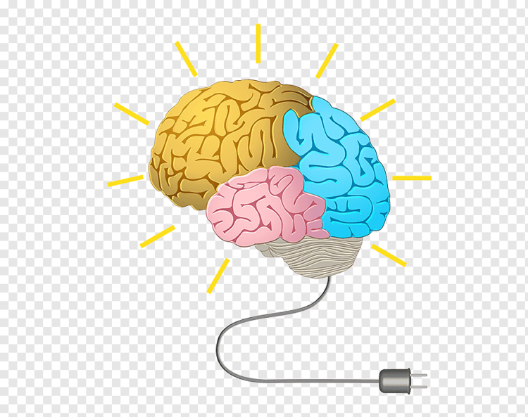 per nej memorie te gjate quick al