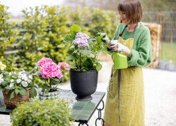 si te kujdesemi per lulet quick albania