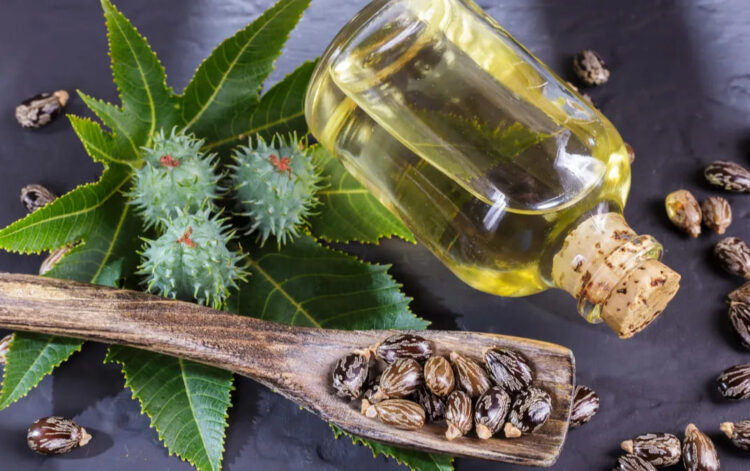 Vaji i kastorit 6 menyra perdorimi quick albania