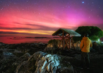 aurora quick albania