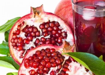 perdorimet e sheges quick albania