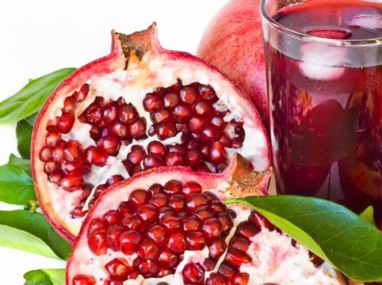 perdorimet e sheges quick albania