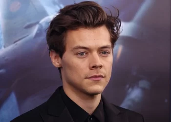 harry style quick albania