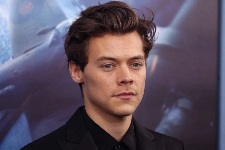 harry style quick albania