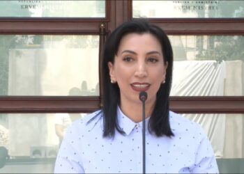 evis kushi quick albania