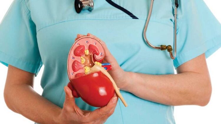 semundjet e veshkave dhe insulti cerebral quick albania