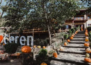 _ceren-petrele quick albania