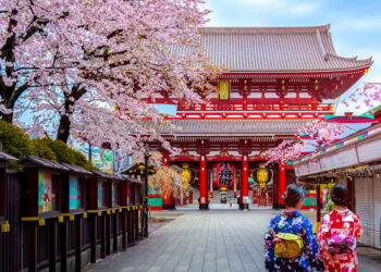 japonia quick albania