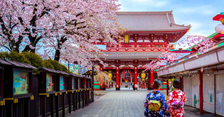 japonia quick albania