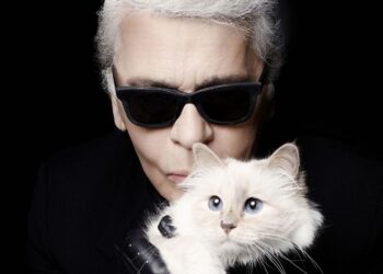 macja ne met gala quick albania