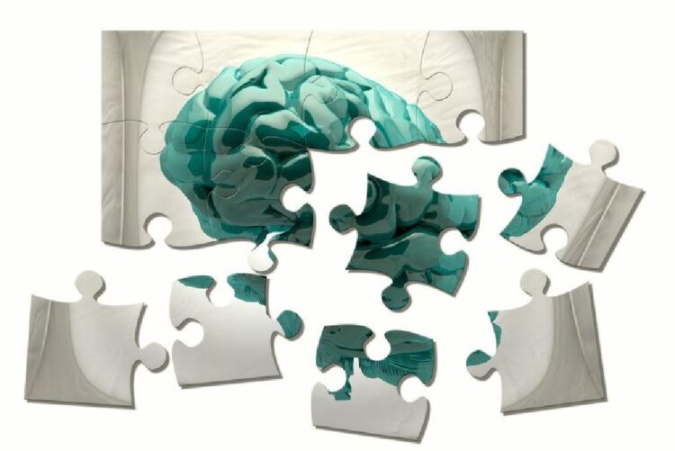 studim mbi sjelljen e njerezve quick albania